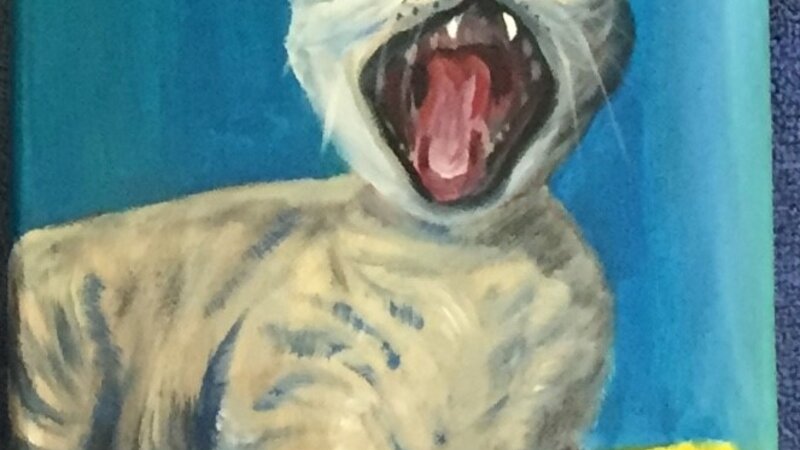 2nd Annual Exhibit Sleepy Cat