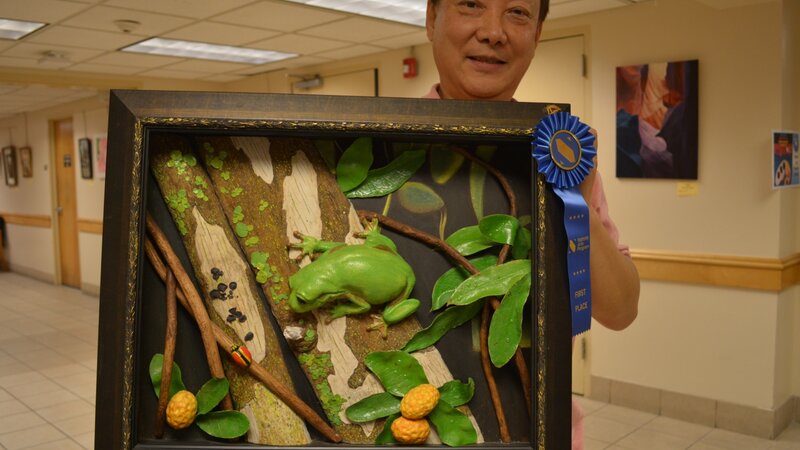 15th Annual Exhibit Forest Morning