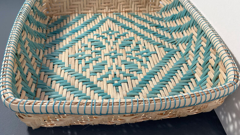 10th Annual Exhibit Luna Moth Tray