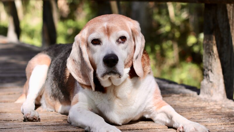 12th Annual Exhibit Saying Goodbye