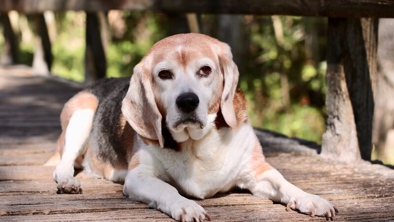 12th Annual Exhibit Saying Goodbye