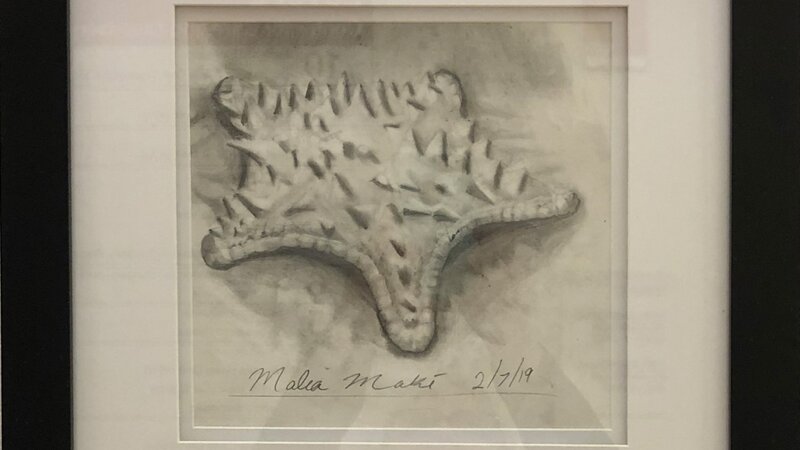 14th Annual Exhibit Starfish