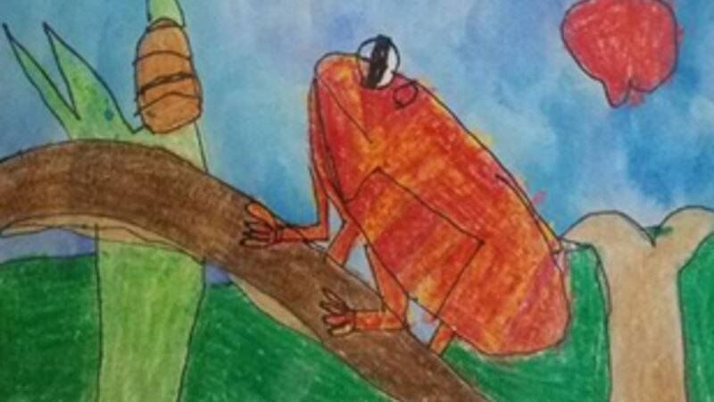 11th Annual Exhibit Ribbit