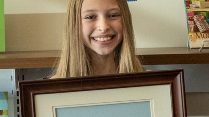 12th Annual Exhibit Wired Fish