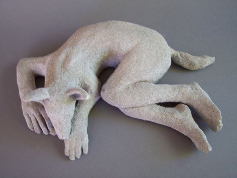sleeping dog