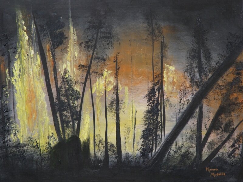 The Fire
