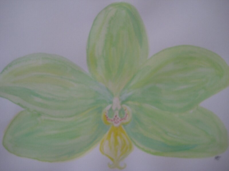 Chartreuse Pop