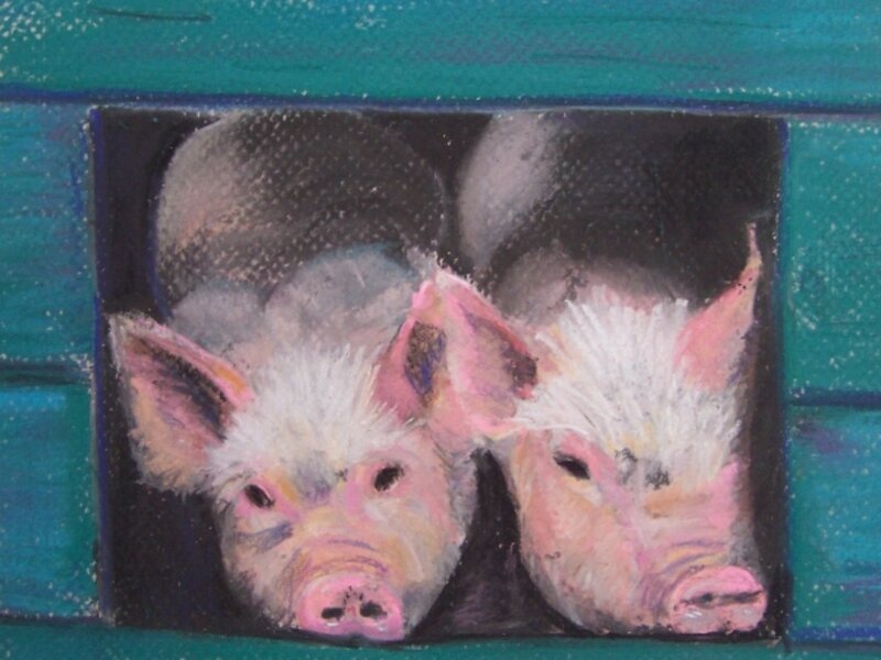 Pig Pals