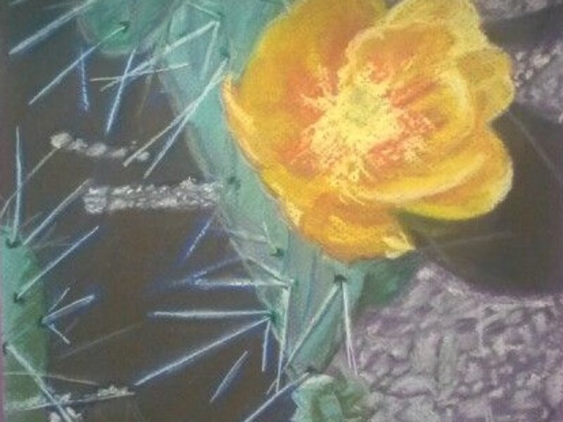 Desert Bloom