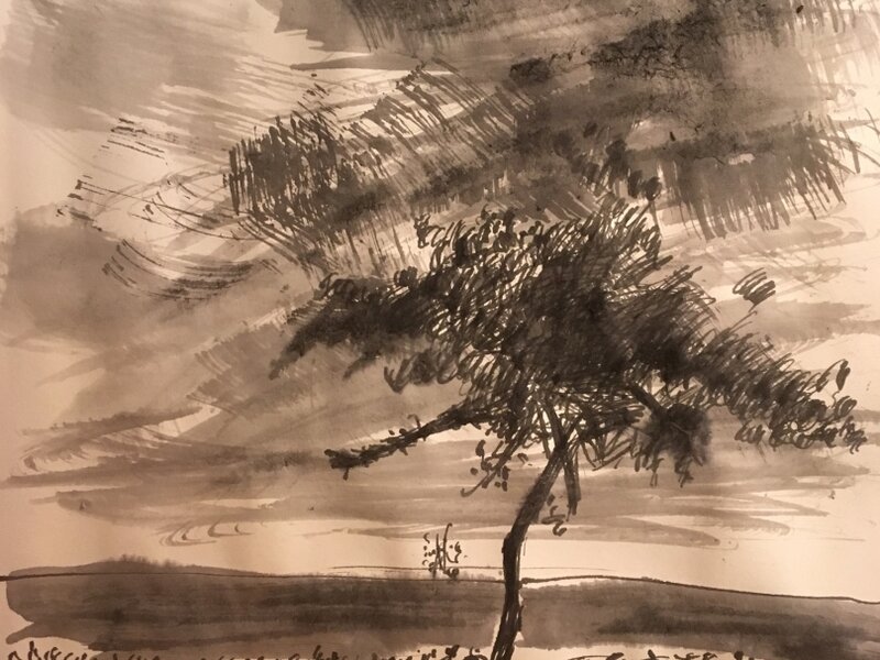 Lone Tree