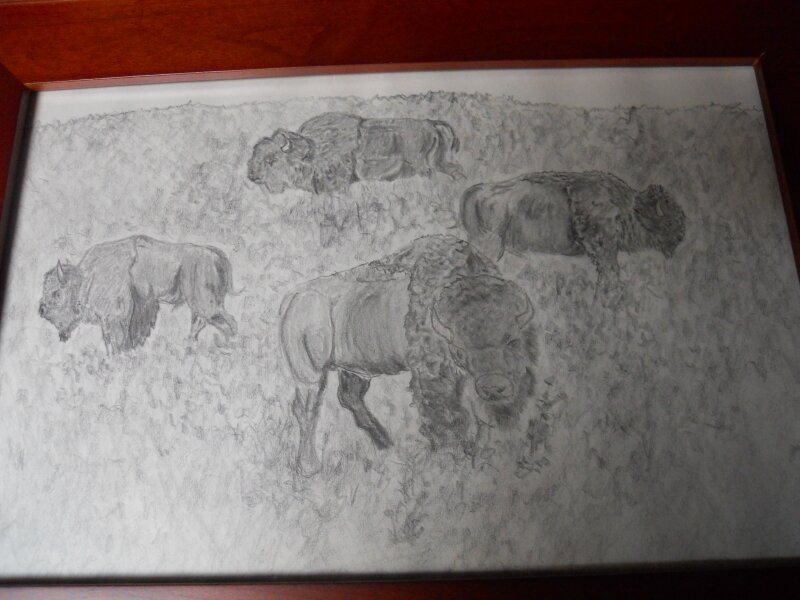 Buffalo