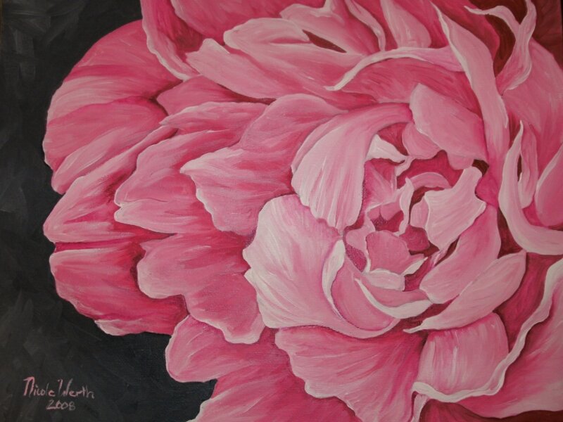 Pink Peony I