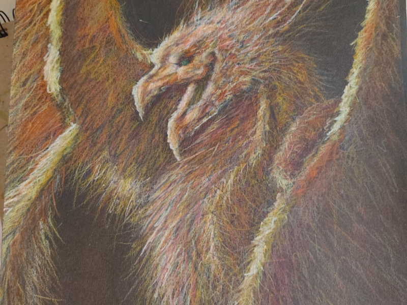 The Alpha Phoenix prepares