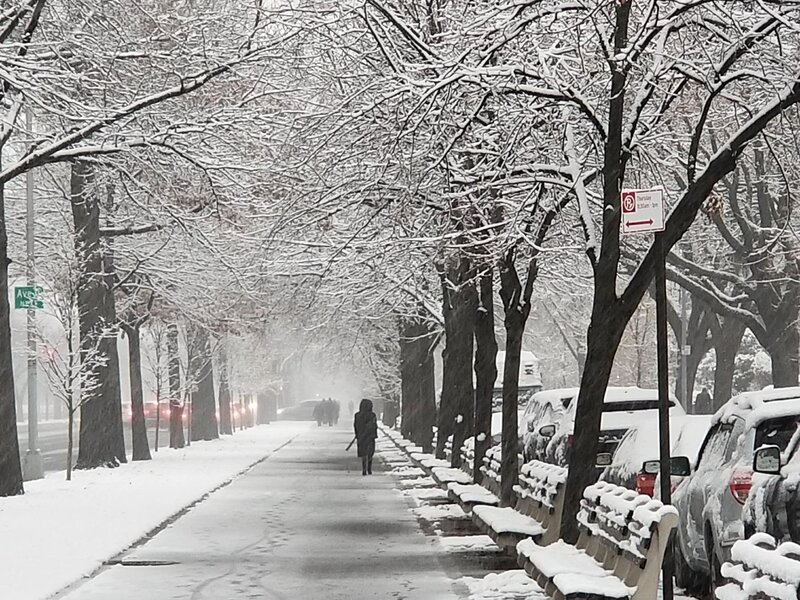 First snow in the city