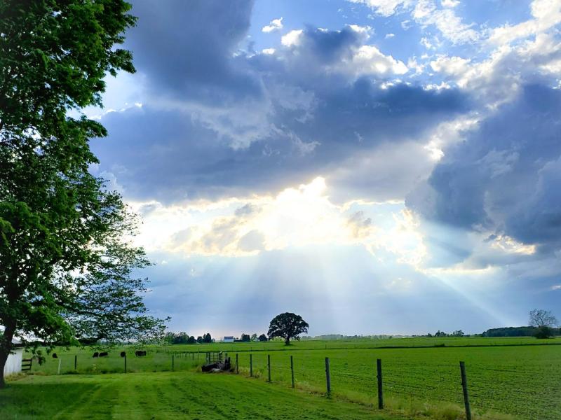 Sun rays beaming on farmers field