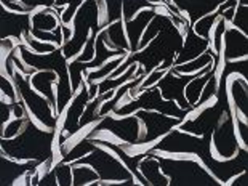 Branch Series IX