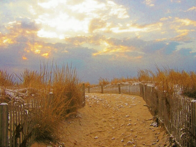 The Path