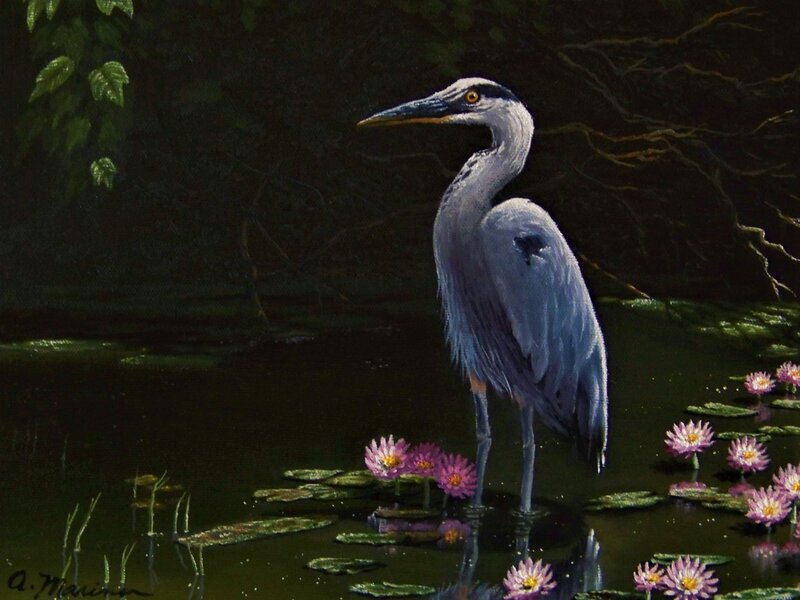 Ed's Blue Heron