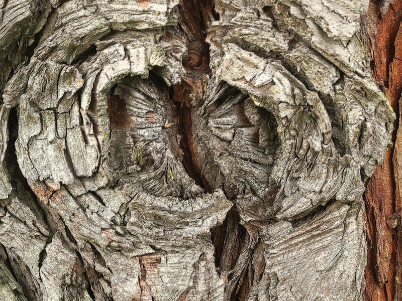 Texture Series Number1