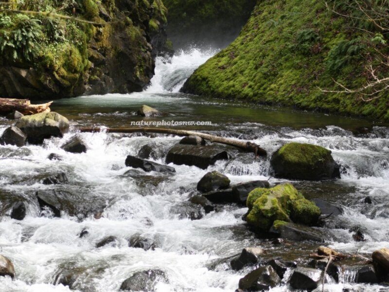 Falls of the Gorge