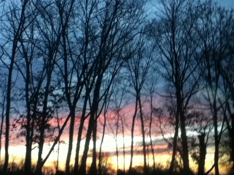 sunset