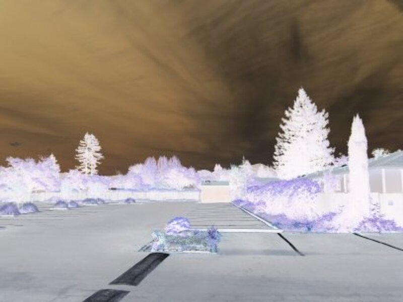 Negative world
