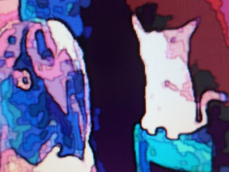 Animal lovers Human, Dog , and Cat