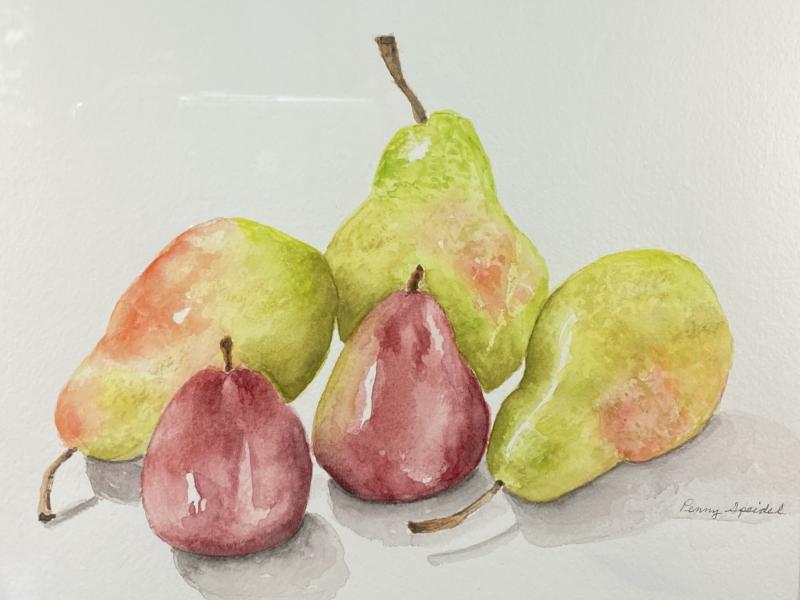 Bartlett and Seckle Pears