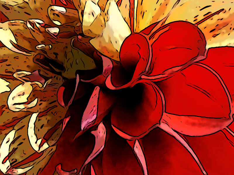 Dahlia Series Number 2