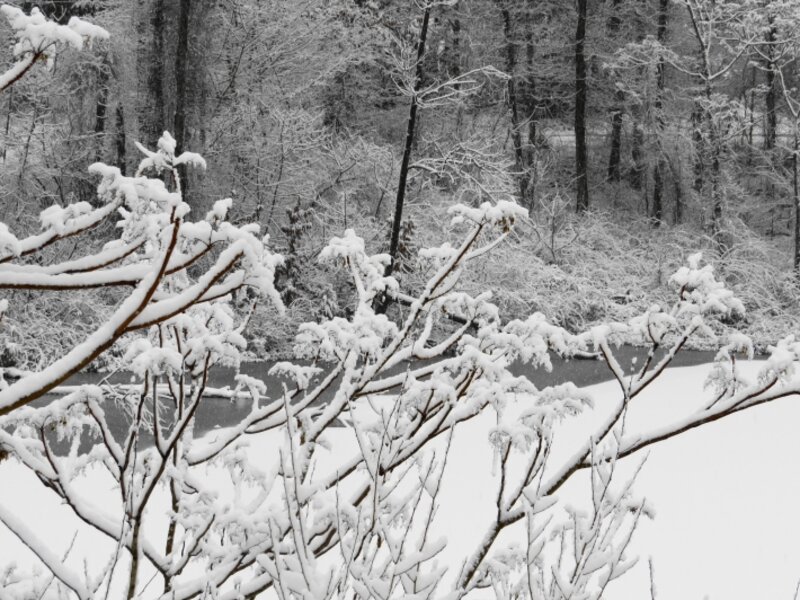 1st. Morning Snowfall