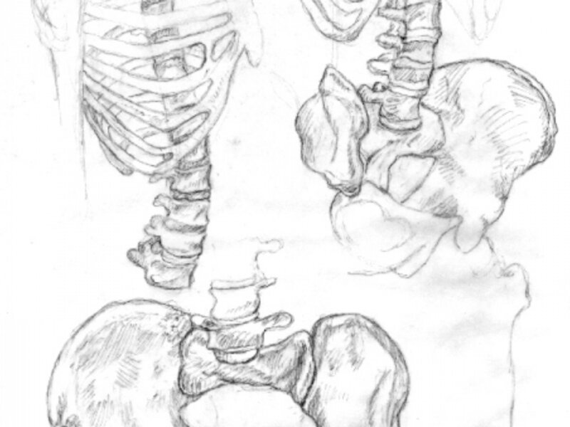 Rib Cage and Hip Bone Study