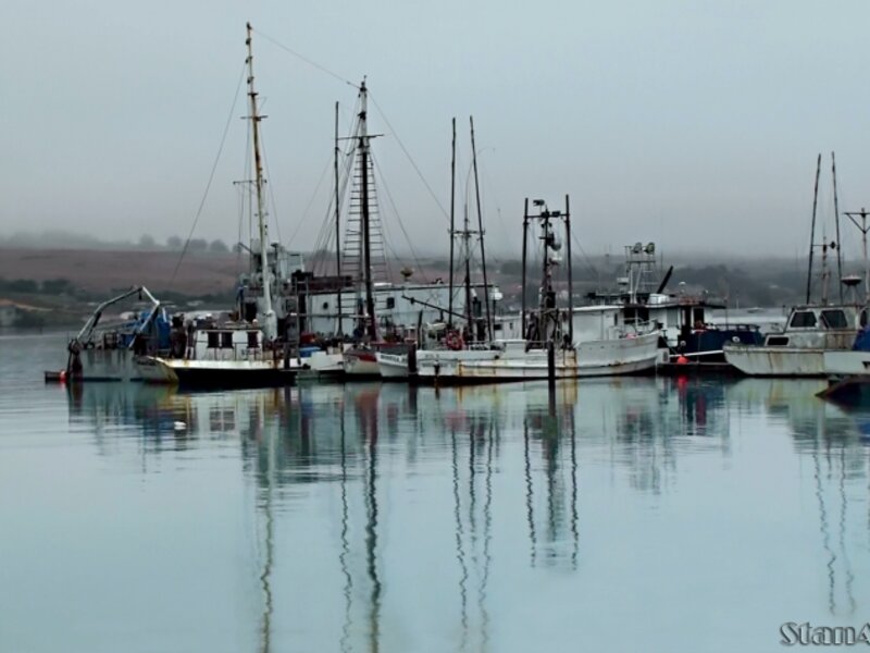 Spud pont crabbing fleet.