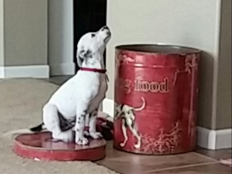 Cookies?