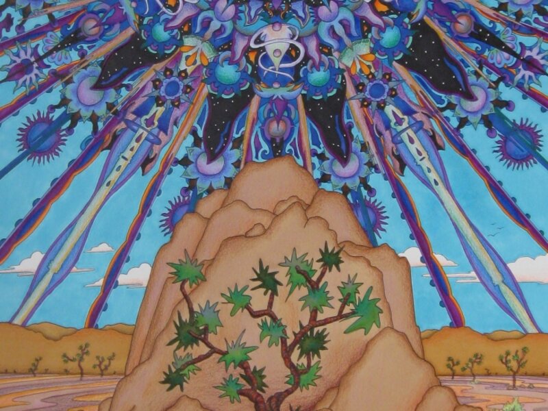 joshua tree  