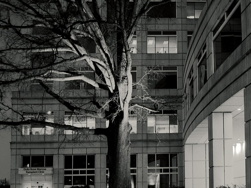 Duke's North Pavillion at dawn