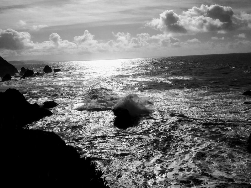 Black & White beauty