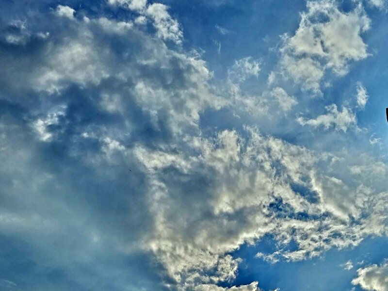 You never know what you're going to see when you look up.