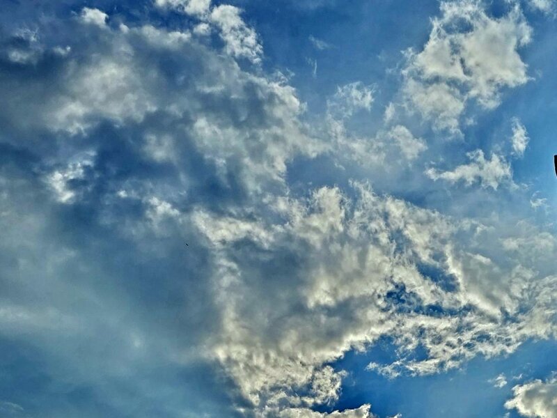 You never know what you're going to see when you look up.