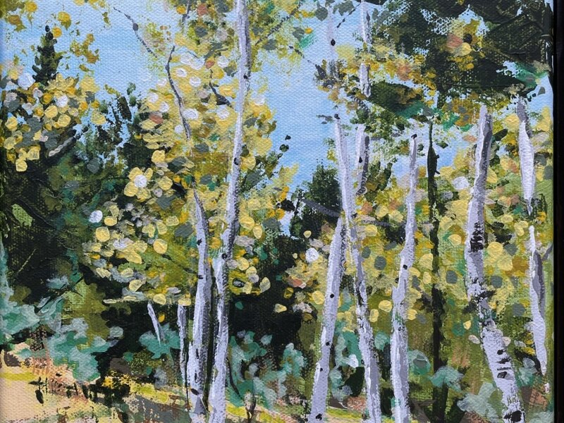 Pike Forest Aspens