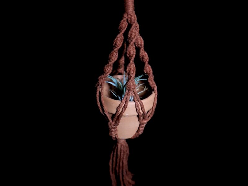 Mini Macrame Plant Hanger with Air Plant!