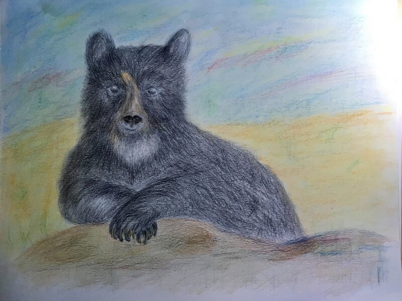 Bear