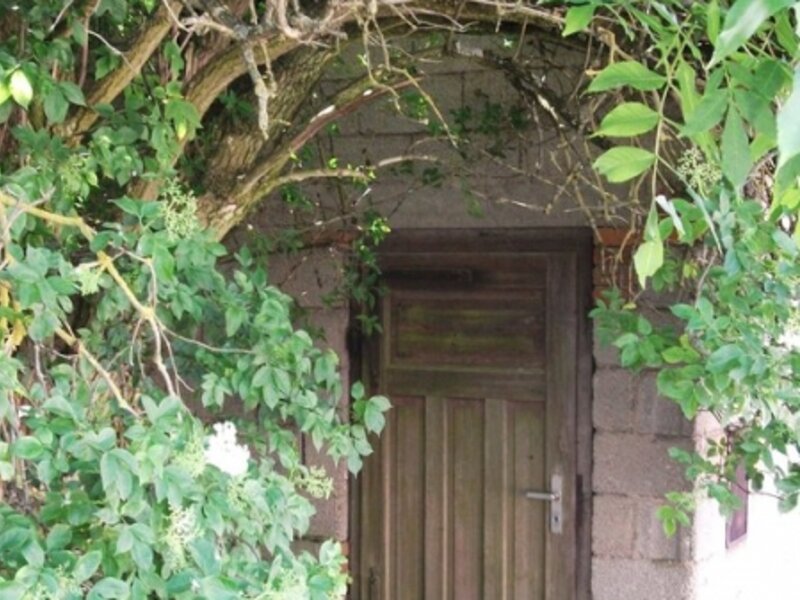 the hidden door