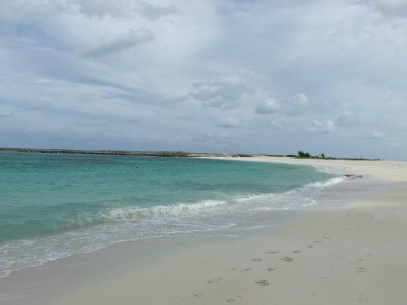 Bahama dawn