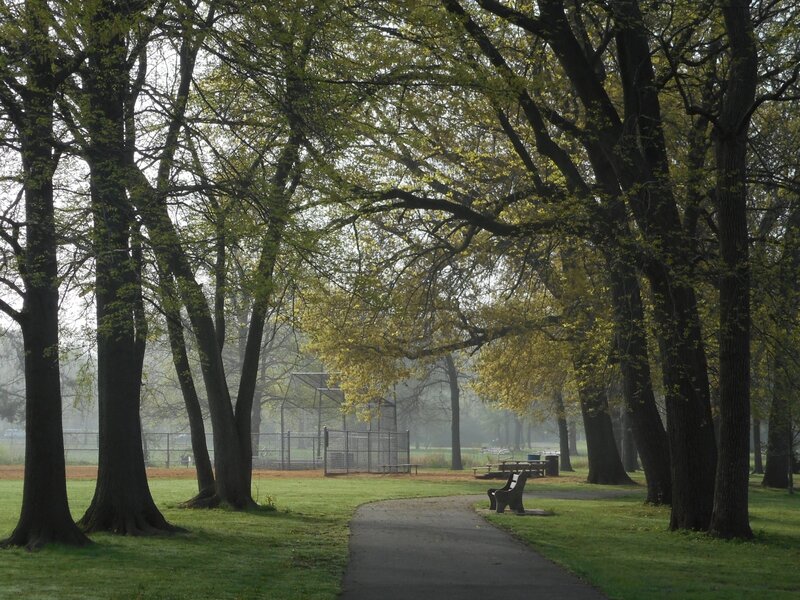 Early Spring in Johnson Park