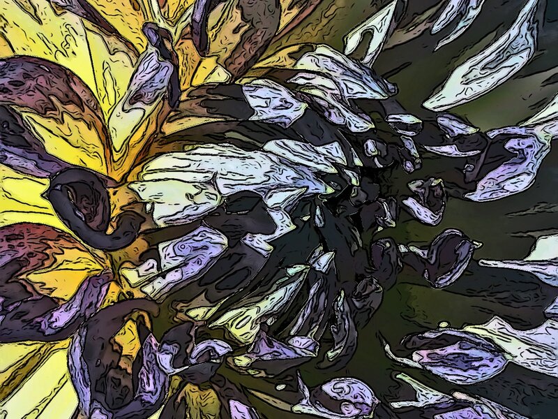 Dahlia Series Number 4