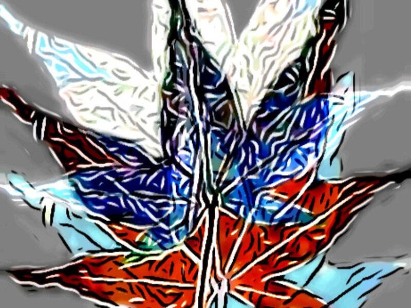 Leaf Series Number 2