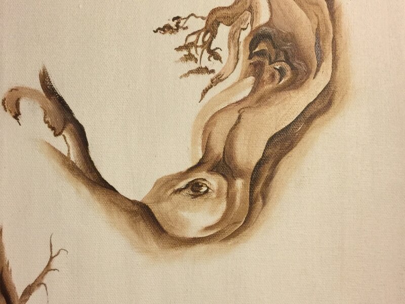 “The Life Within a Tree”