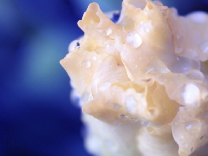 Blue Crystal Drops.