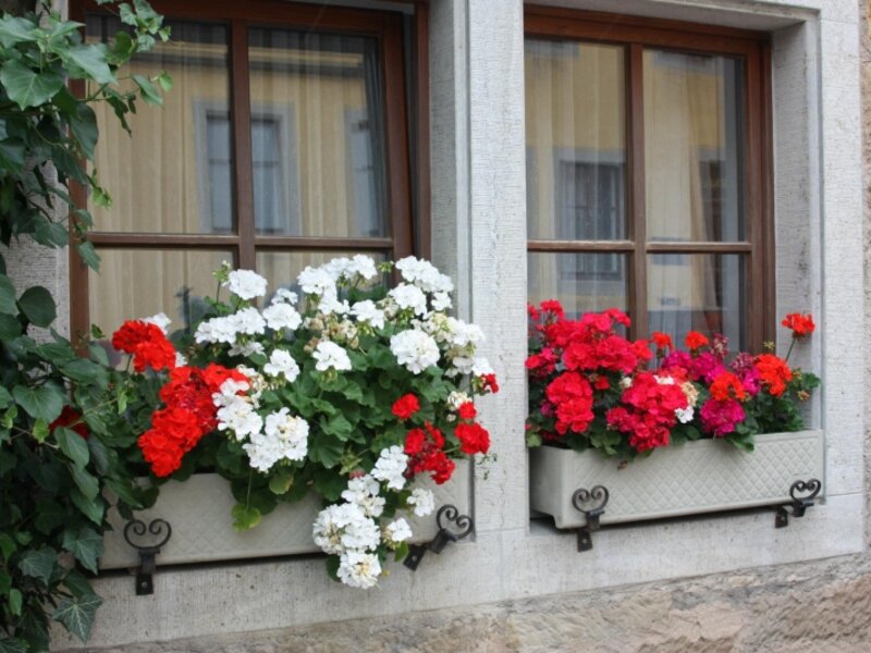 flower power
