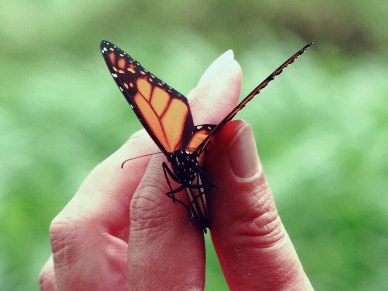 It is a beauty that will choke you.